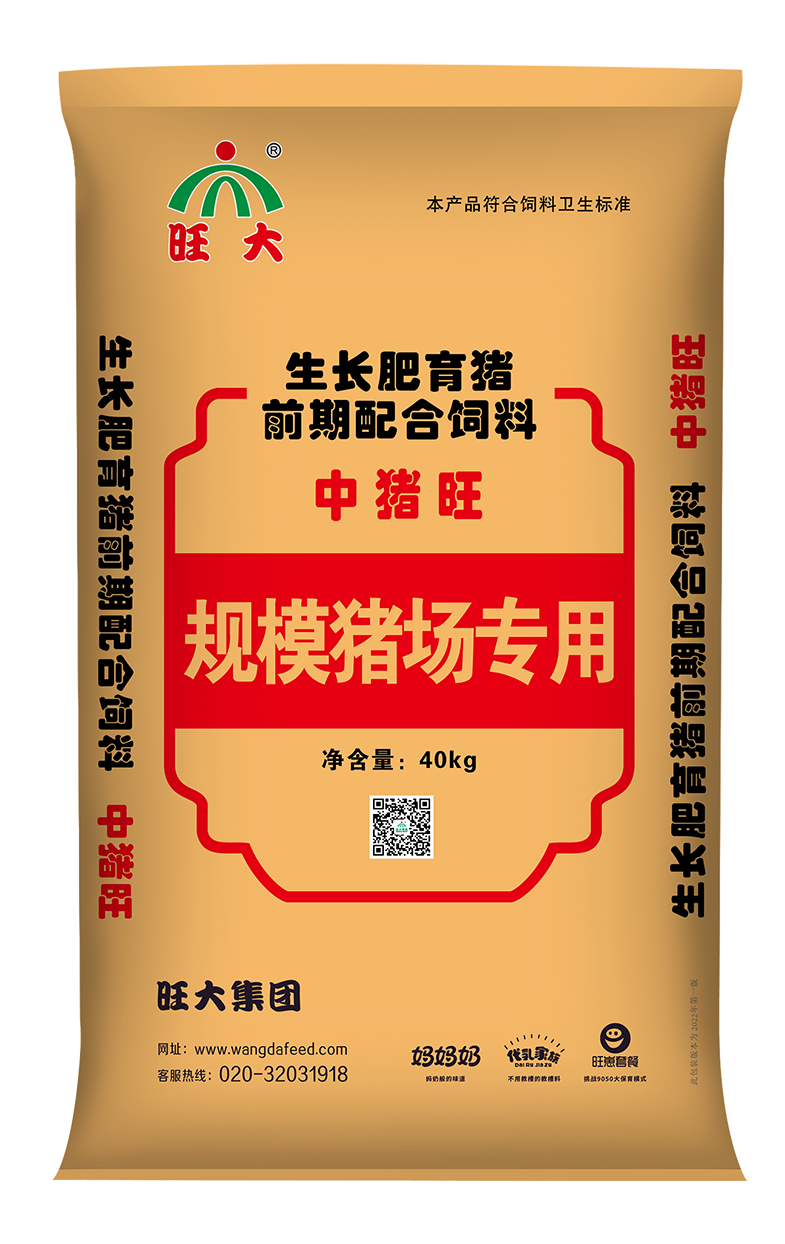 中猪旺