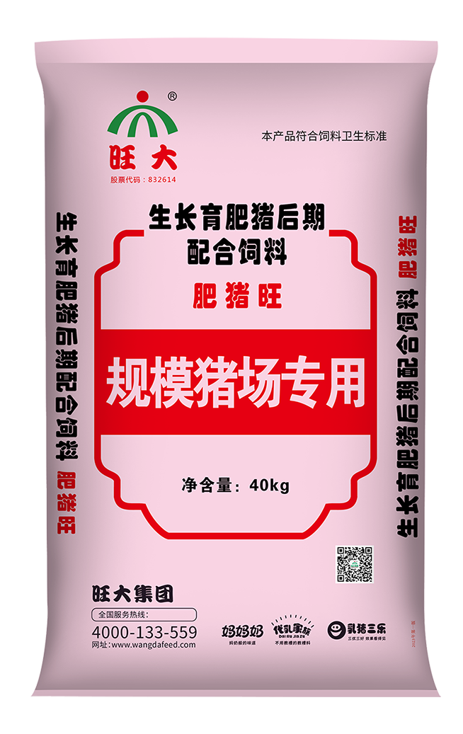 肥猪旺