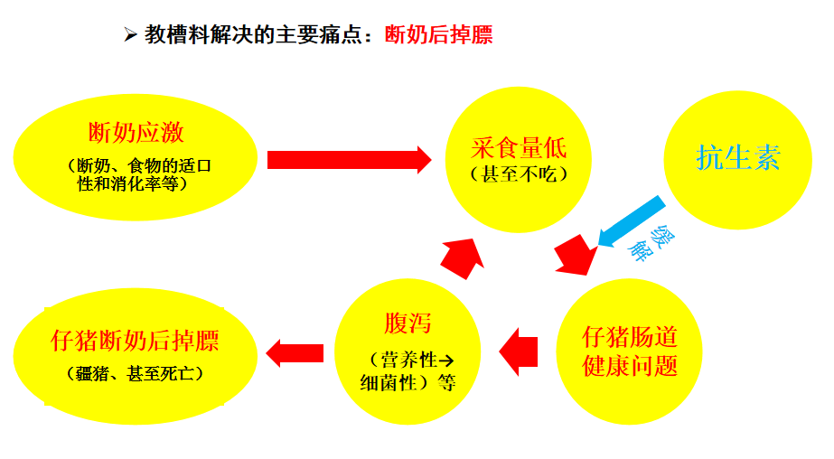 微信图片_20200820175830.png